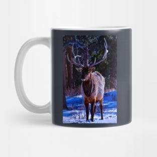 elk cutie - rocky mountain national park Mug